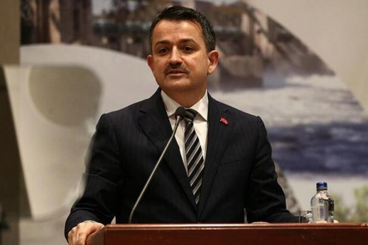 Pakdemirli: 2019'da 100 milyon adet meyve fidanı &uuml;retimi yapıldı