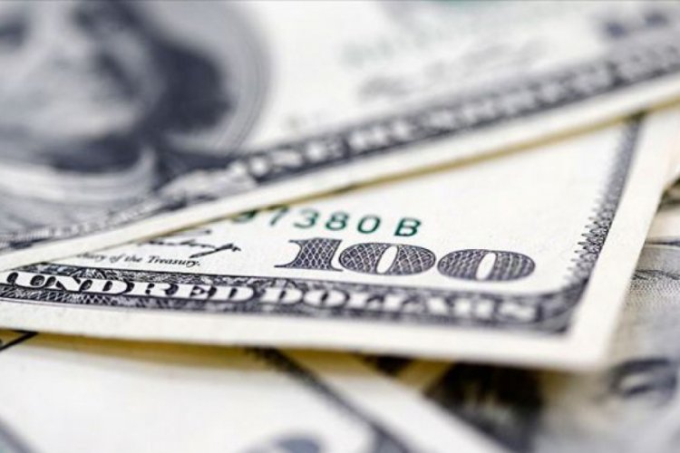 Doların global d&ouml;viz rezervleri i&ccedil;inde payı azaldı