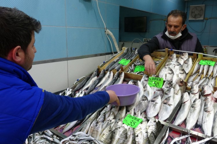Covid-19 balık satışlarını da vurdu