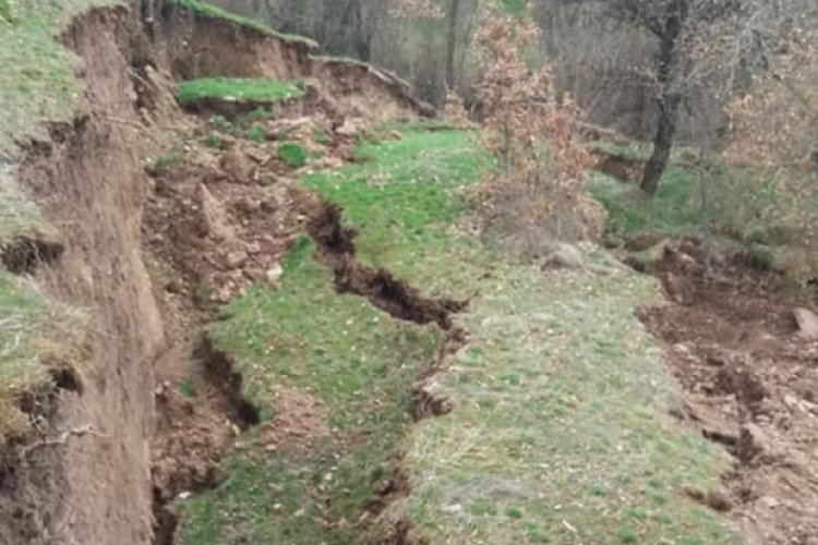 Bolu'da, ormanlık alanda heyelan meydana geldi