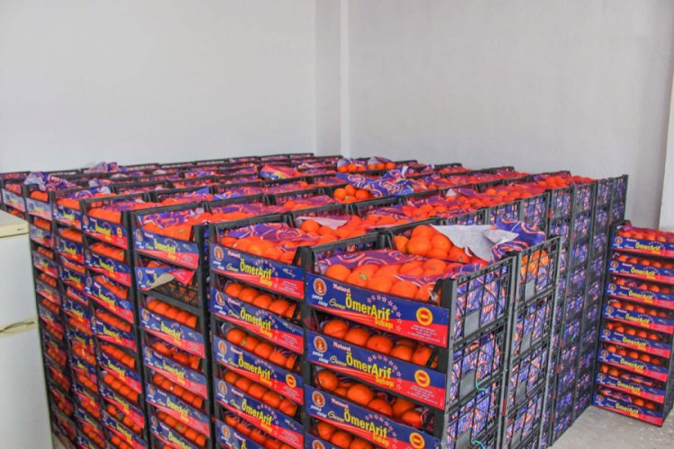 Bursa Karacabey'de sağlık &ccedil;alışanlarına ve personele C vitamini takviyesi