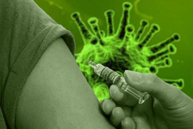 Avustralyalı bilim insanları aşı denemelerine başladı