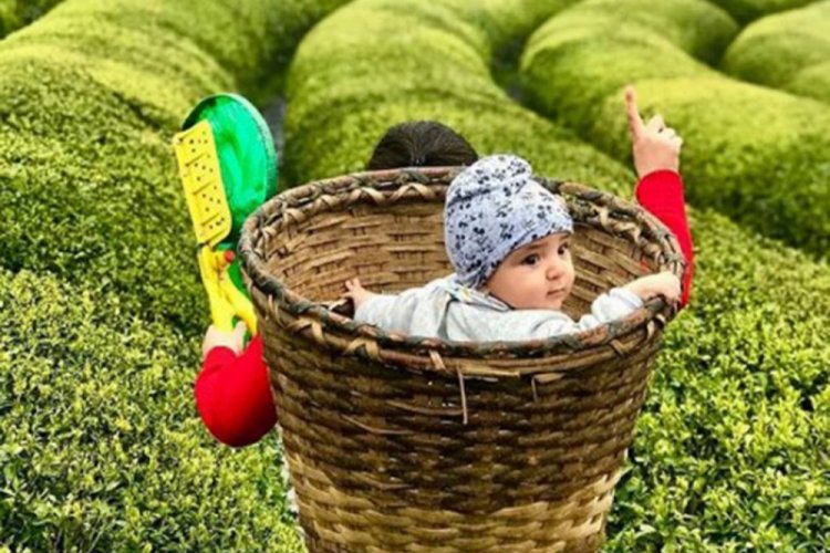 100 milyon dolar &ccedil;ay &uuml;reticisine kalacak