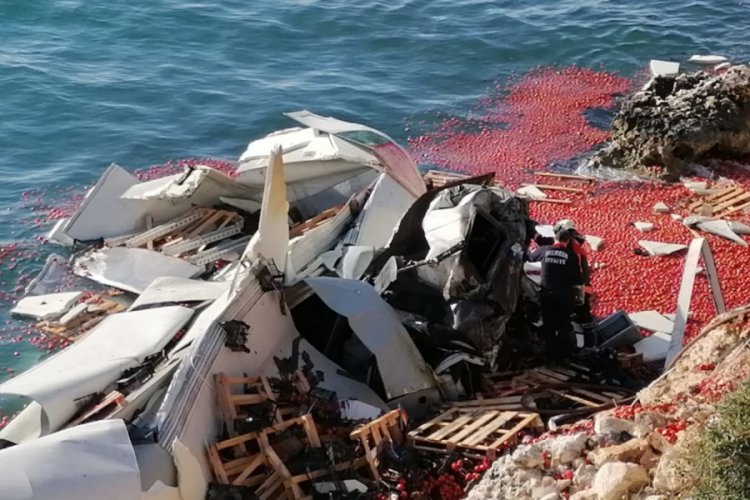 Domates y&uuml;kl&uuml; TIR denize u&ccedil;tu