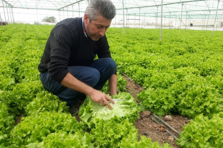 Korona vir&uuml;s fiyatını yarı yarıya d&uuml;ş&uuml;rd&uuml;