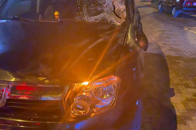 Başıboş atlar otomobilin &uuml;zerine &ccedil;ıktı