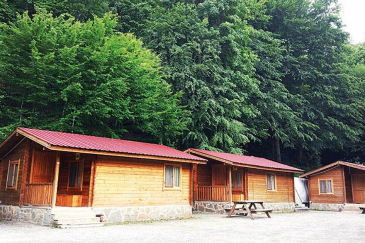 Mesire yerlerine bungalov ayarı! Ekonomi Haberleri