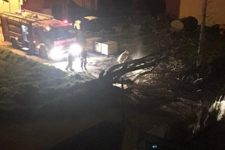 Şiddetli fırtına durak ve ağa&ccedil;ları s&ouml;kt&uuml;