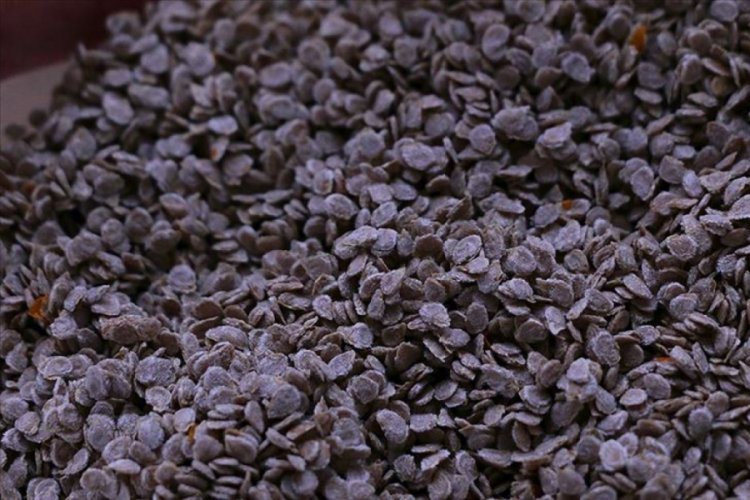 Tohumda y&uuml;zde 75 hibe tarımda &uuml;retimin artmasına katkı sağlayacak