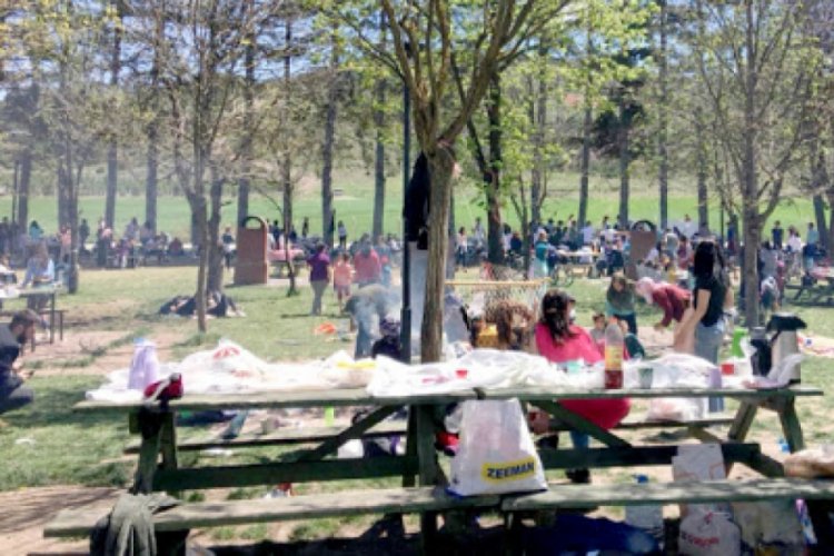 Samsun'da piknik&ccedil;iye para cezası