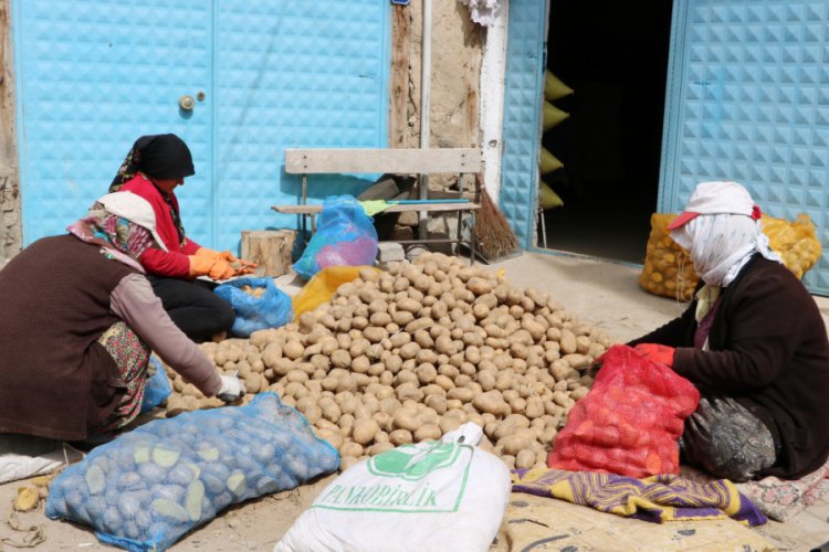 'Endişelenmeyin, patates sıkıntımız olmaz'