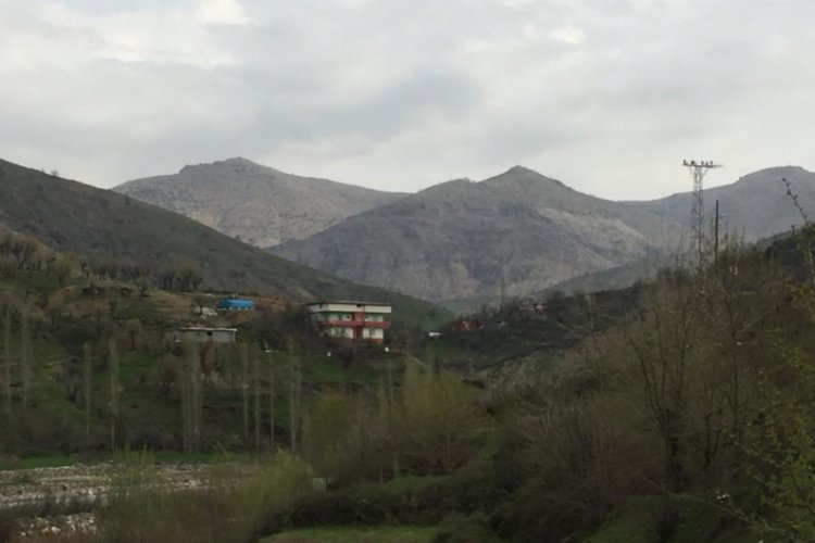 Sason'un Erg&uuml;ne k&ouml;y&uuml; karantinaya alındı