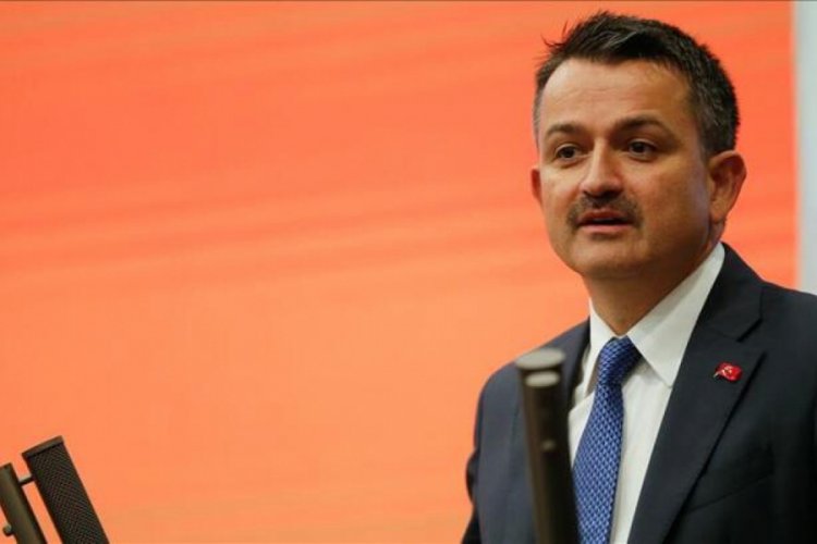 Pakdemirli: Atat&uuml;rk Barajı 2020 sulama sezonuna hazır