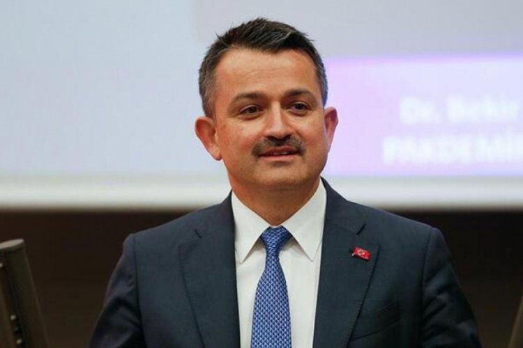 Pakdemirli: Marketlerimizin stokları iyi