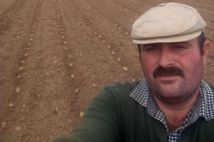 Kestiği ağa&ccedil; &uuml;zerine devrildi