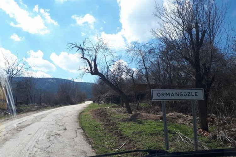 Bilecik'in Ormangüzle köyü karantinaya alındı