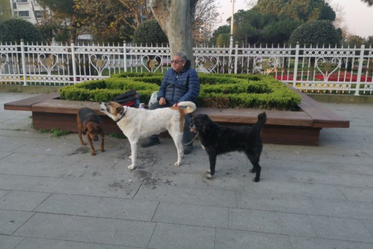 Yasağa rağmen sokakta! K&ouml;peklerimi beslemek i&ccedil;in &ccedil;ıktım