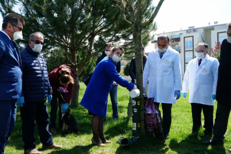 Bursa Mustafakemalpaşa'da sokak hayvanlarına tam destek