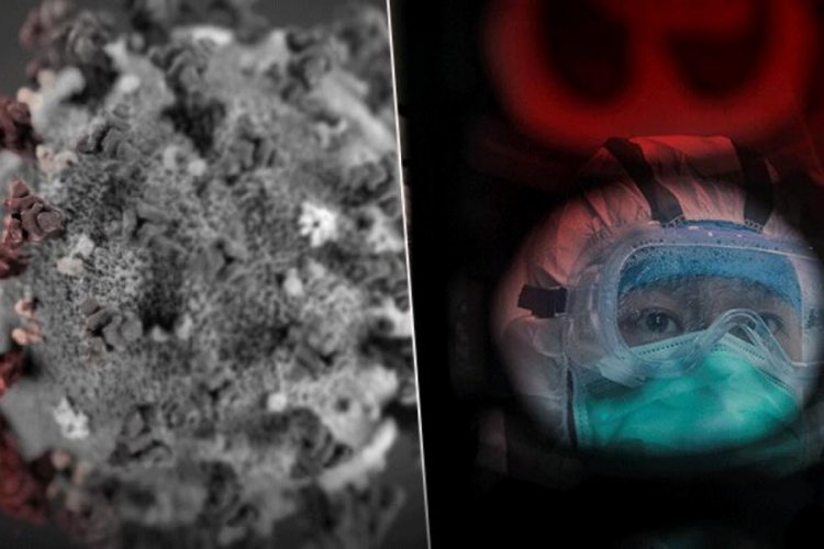 Genetik bilimciden dikkat &ccedil;eken 'corona vir&uuml;s' iddiası