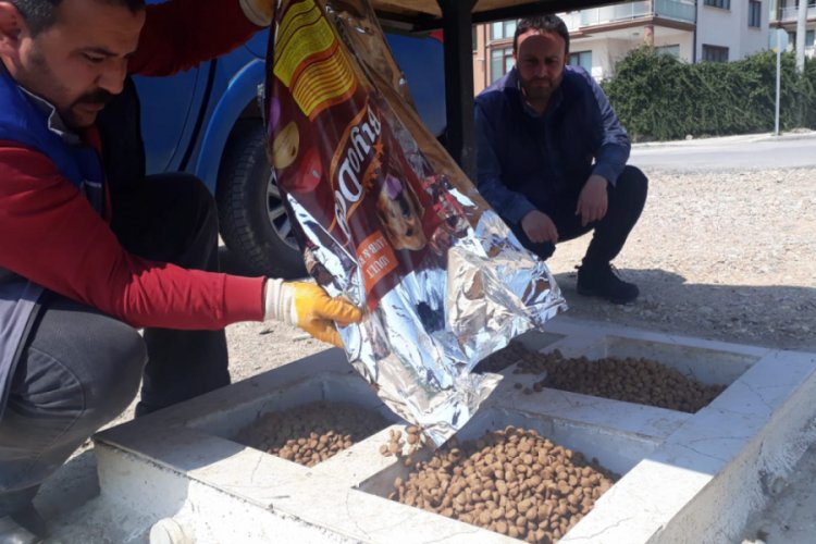 Bursa'da sokak hayvanları unutulmadı