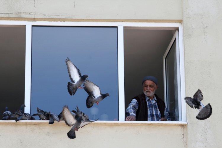 Bursalı Hasan Amca, penceresine konan g&uuml;vercinleri besledi