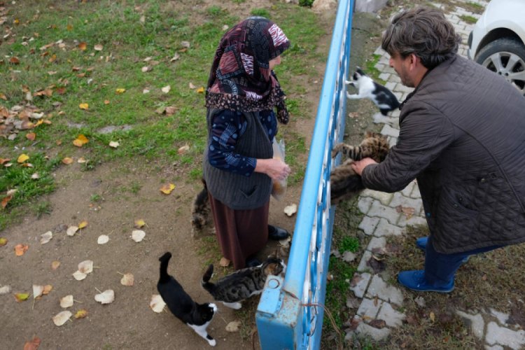 Bursalı fırıncı a&ccedil; kalan sokak hayvanlarına sahip &ccedil;ıktı