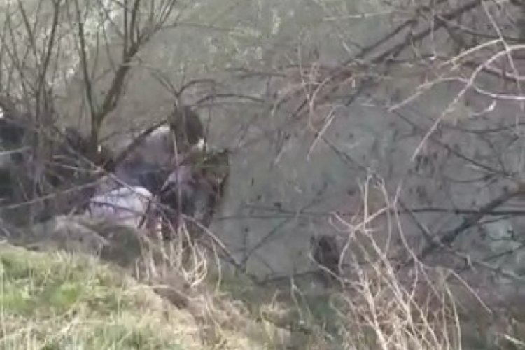 Irmağa atlayan kızı kurtaran polisler &ouml;d&uuml;llendirildi