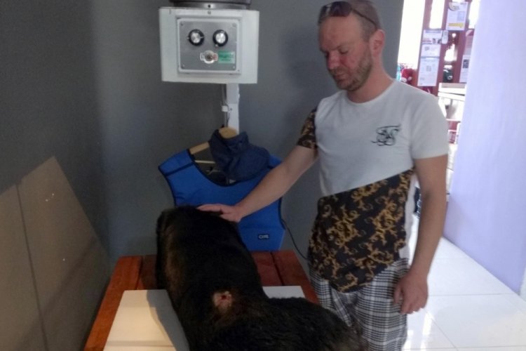 Sahipli k&ouml;pek tabanca ile vuruldu