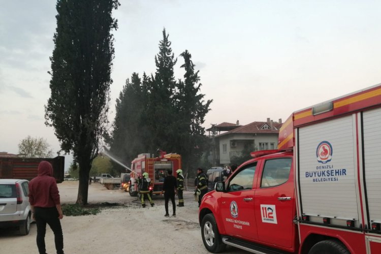 Denizli'de yol ortasındaki ağacı ateşe verdiler