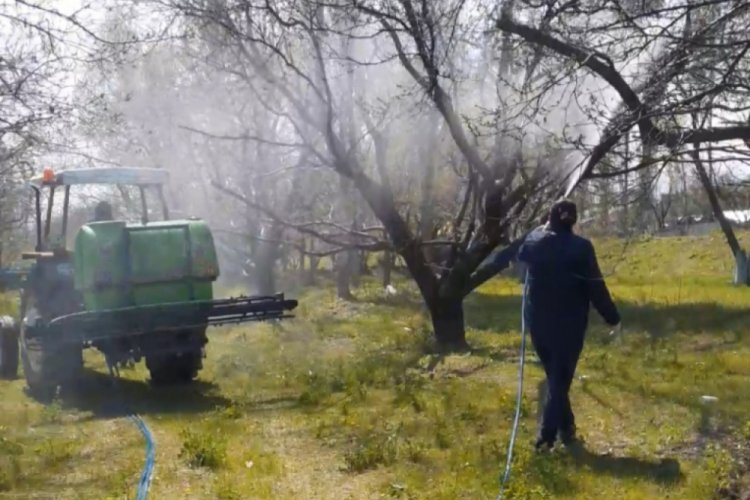 Evden &ccedil;ıkamayan &ccedil;ift&ccedil;inin kayısı ağa&ccedil;ları ila&ccedil;landı