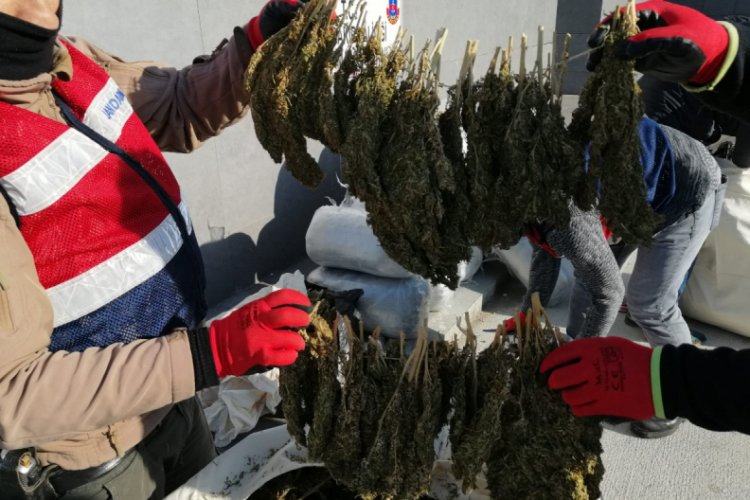 Diyarbakır'da 305 kilo esrar ele ge&ccedil;irildi