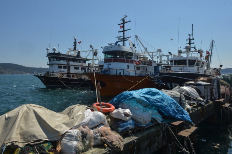 Balık pop&uuml;lasyonunda artış umuluyor