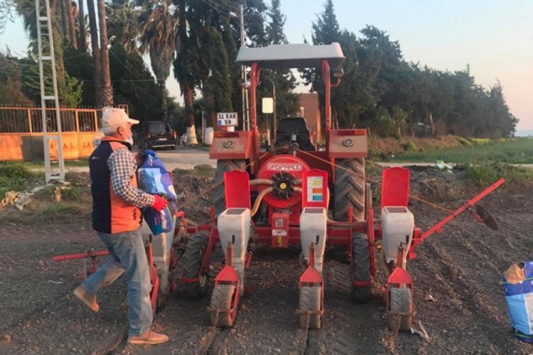 Amik Ovası'nda pamuk ekimi başladı