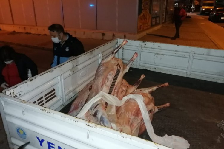 Mersin'de 200 kilo ka&ccedil;ak et ele ge&ccedil;irildi