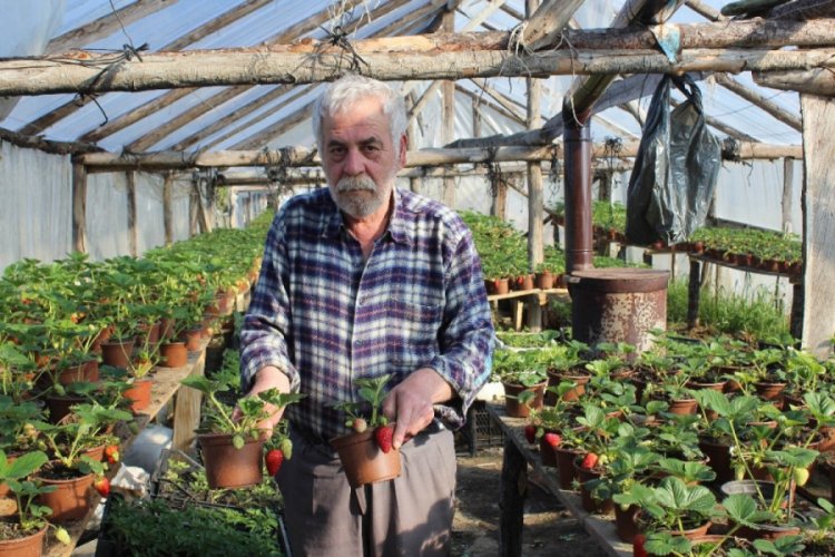 Korona vir&uuml;s salgını sonrası milli piyango bileti satamayınca &ccedil;ilek&ccedil;iliğe başladı