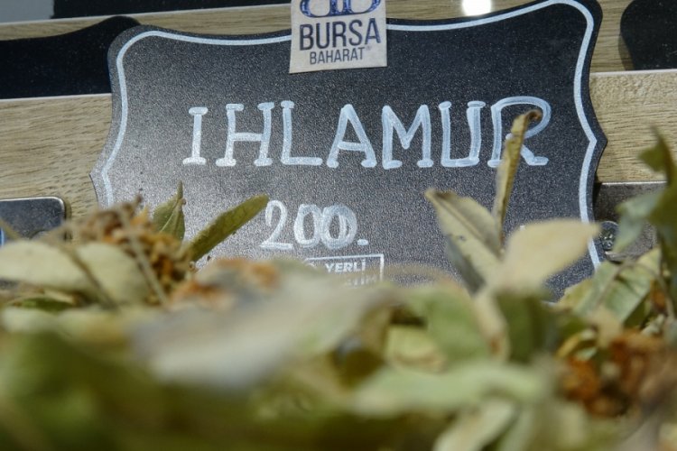 En &ccedil;ok tercih edilen bitki &ccedil;ayı ıhlamur oldu