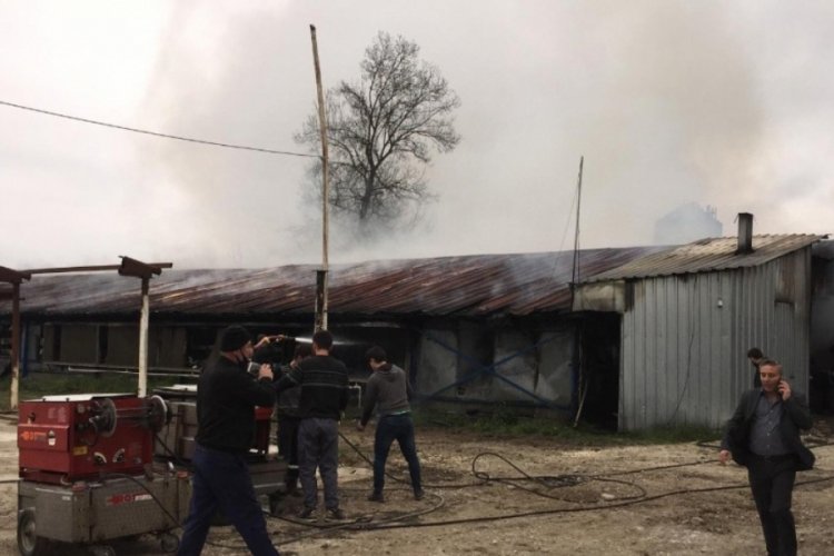 Yumurta fabrikasında &ccedil;ıkan yangında 12 bin tavuk telef oldu