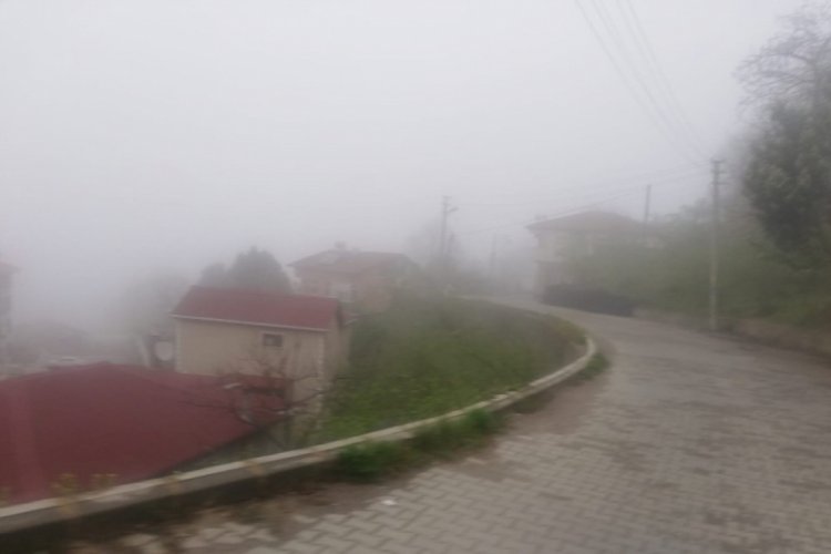 Zonguldak'ta sis etkili oldu