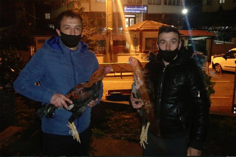 50 bin liralık horozlarını &ccedil;alan zanlıyı yakalattılar
