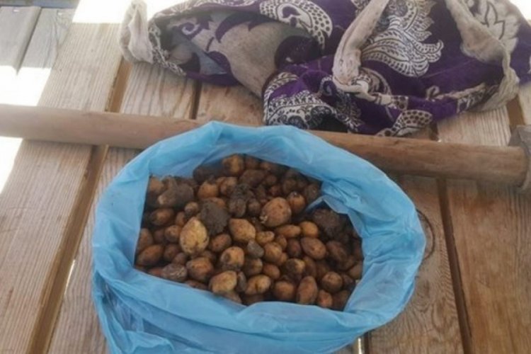 50 kilo i&ccedil;in, 307 bin lira ceza yediler