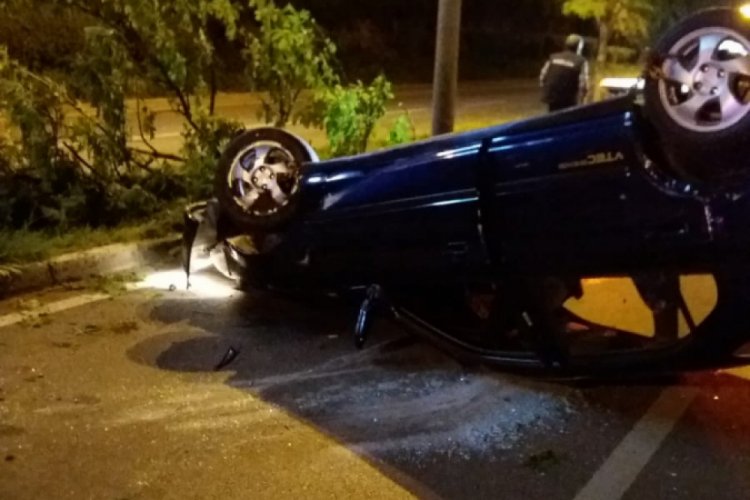 Bursa'da yoluna &ccedil;ıkan kediyi ezmemek i&ccedil;in canını tehlikeye attı
