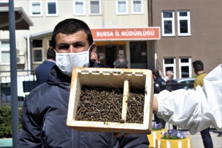 Bursa'da bal &uuml;reticileri &ouml;len arılarıyla m&uuml;d&uuml;rl&uuml;ğe geldiler