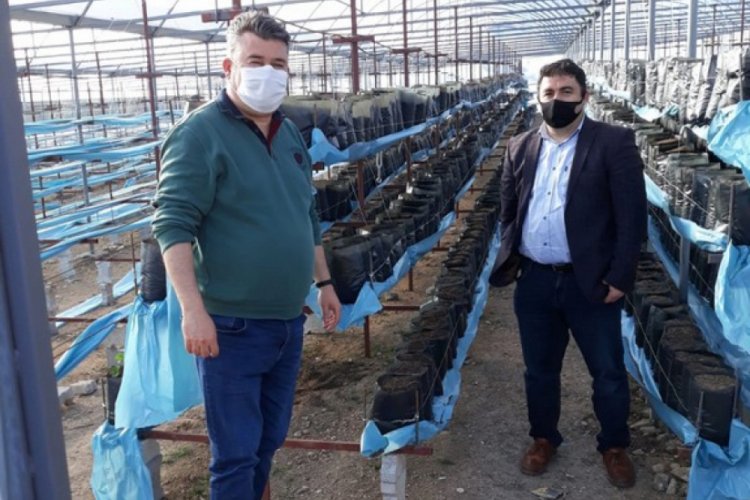 Bursa'da çiftçiye destek sürüyor