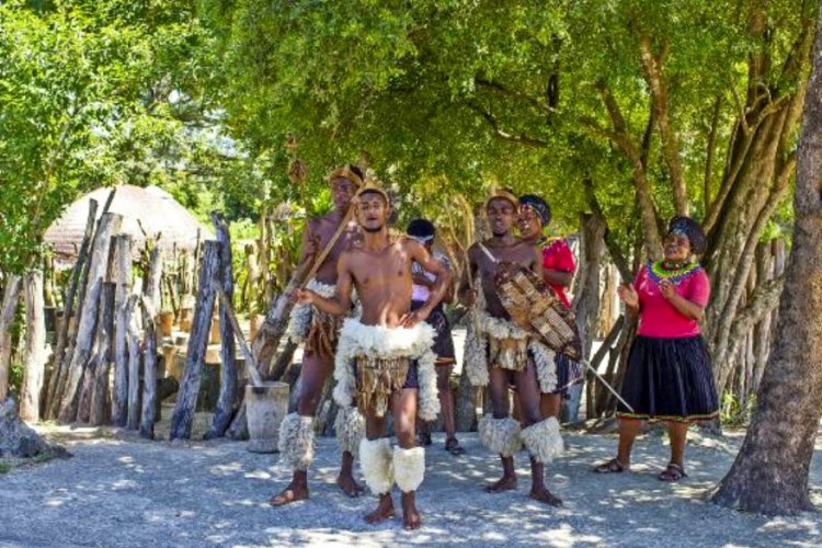 G&uuml;ney Afrika'daki yasakta 397 okul tahrip edildi
