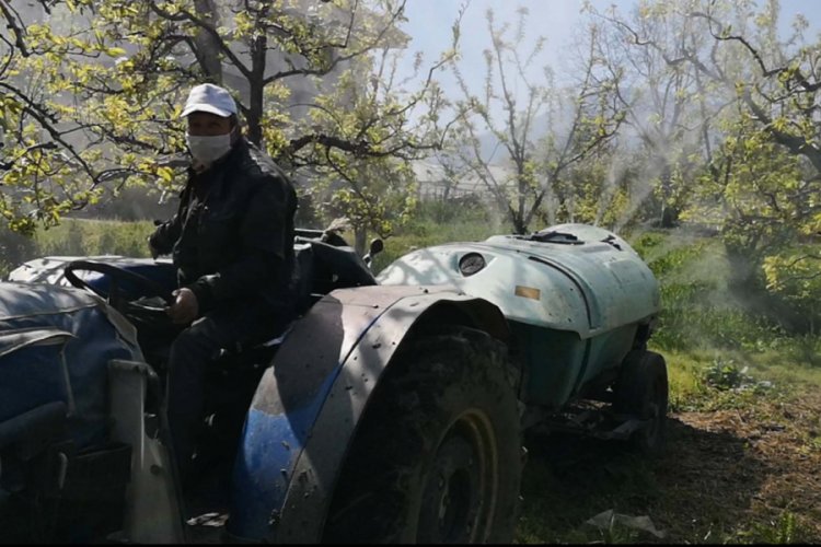 Bursa'da yasaktan muaf olan &ccedil;ift&ccedil;iler ila&ccedil;lama yaptı