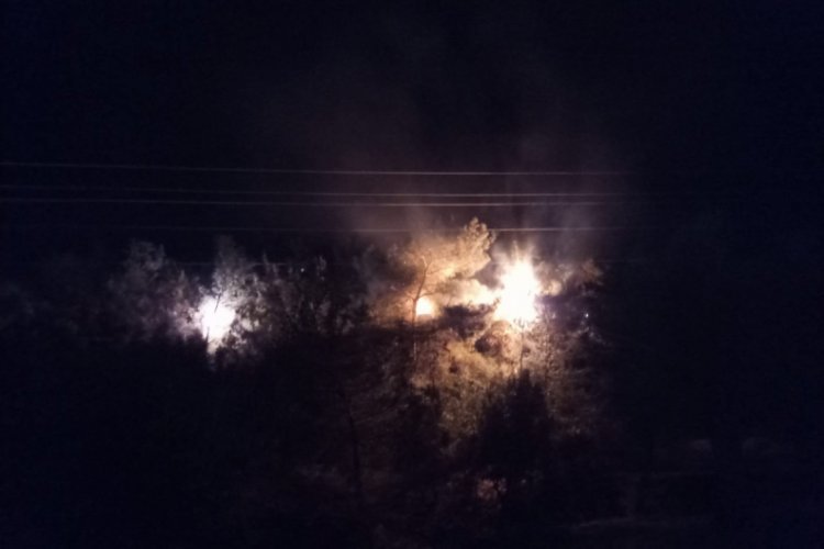 Elektrik telleri koptu, ormanlık alanda yangın &ccedil;ıktı
