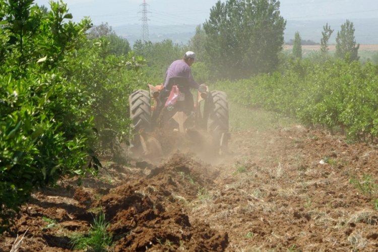 Herkes evde kalıyor, &ccedil;ift&ccedil;iler alın teri d&ouml;k&uuml;yor