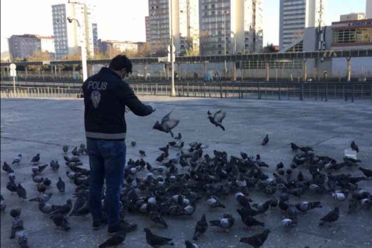 Polis a&ccedil; kalan g&uuml;vercinleri elleriyle besledi
