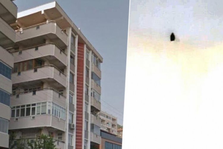 Apartmana yarasa girdi, vatandaşlar panik oldu