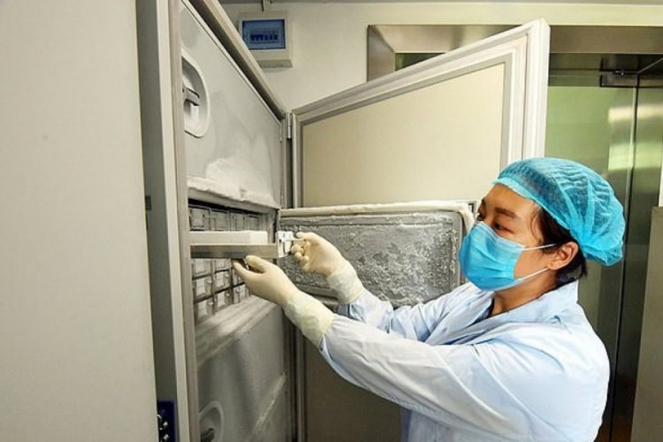 1500 vir&uuml;s&uuml;n saklandığı Wuhan Viroloji Enstit&uuml;s&uuml;'nde &ccedil;ekilen fotoğraflar ortaya &ccedil;ıktı